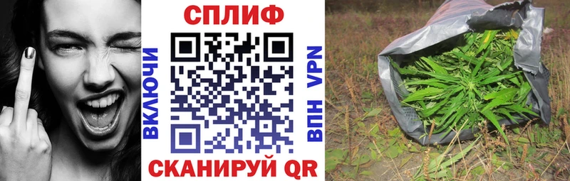 Каннабис ГИДРОПОН Купить закладки Вытегра